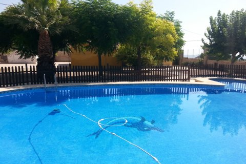 Villa for sale La Romana, Alicante, Spain 3 bedrooms, 200 sq.m. No. 116375 - photo 17