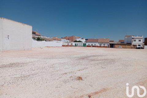 Продажа земельного участка в Каньяда Росаль, Севилья, Испания 3986м2 №153935 - фото 2