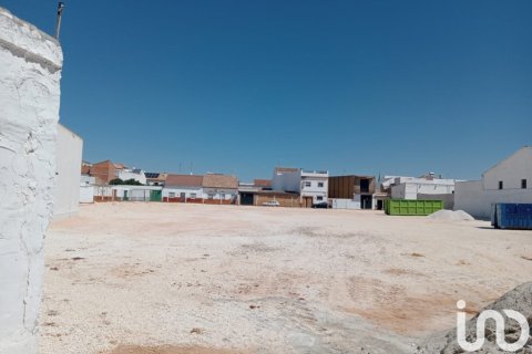 Продажа земельного участка в Каньяда Росаль, Севилья, Испания 3986м2 №153935 - фото 5