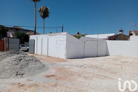 Продажа земельного участка в Каньяда Росаль, Севилья, Испания 3986м2 №153935 - фото 3