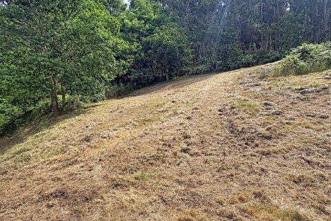 Продажа земельного участка в Пойо, Понтеведра, Испания 1307м2 №184722 - фото 4