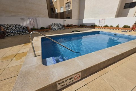 Lägenhet till salu i Torrevieja, Alicante, Spanien 1 sovrum,  Nr. 183073 - foto 26