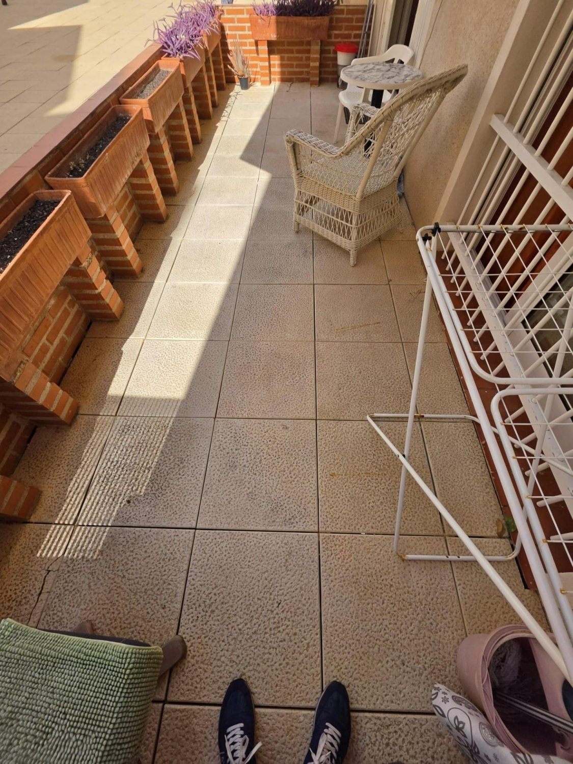 Apartment in Torrevieja, Alicante, Spain 1 bedroom,  No. 183073