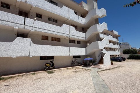 Appartamento a Torrevieja, Alicante, Spagna 1 camera da letto, 45 mq. N° 183070
