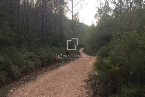 Finca zum Verkauf in Sitges, Barcelona, Spanien 590 m2 Nr. 192659 - Foto 19