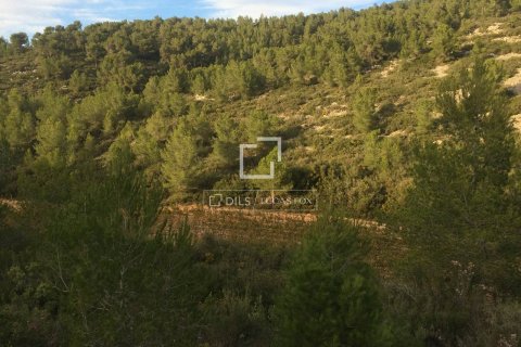 Finca zum Verkauf in Sitges, Barcelona, Spanien 590 m2 Nr. 192659 - Foto 20