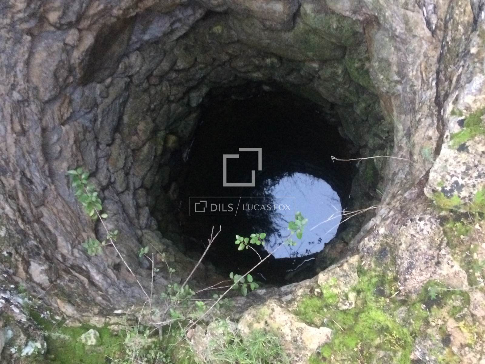 Финка в Ситжес, Барселона, Испания 590м2 №192659