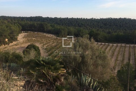 Finca zum Verkauf in Sitges, Barcelona, Spanien 590 m2 Nr. 192659 - Foto 18