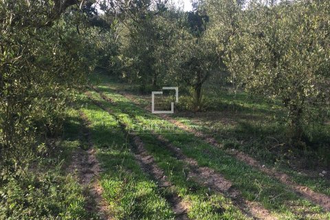 Finca zum Verkauf in Sitges, Barcelona, Spanien 590 m2 Nr. 192659 - Foto 8