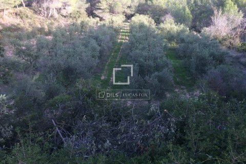 Finca zum Verkauf in Sitges, Barcelona, Spanien 590 m2 Nr. 192659 - Foto 16