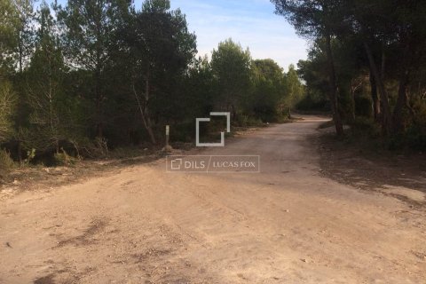 Finca zum Verkauf in Sitges, Barcelona, Spanien 590 m2 Nr. 192659 - Foto 25