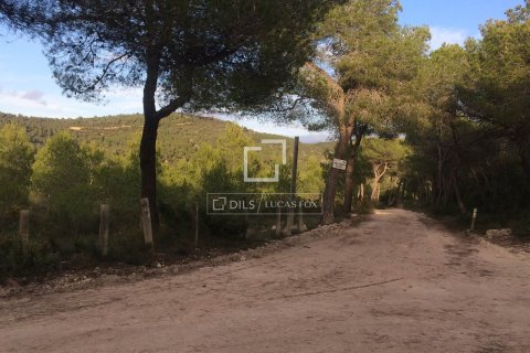 Finca zum Verkauf in Sitges, Barcelona, Spanien 590 m2 Nr. 192659 - Foto 4