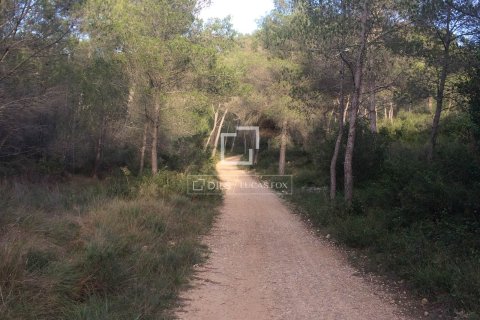 Finca zum Verkauf in Sitges, Barcelona, Spanien 590 m2 Nr. 192659 - Foto 23