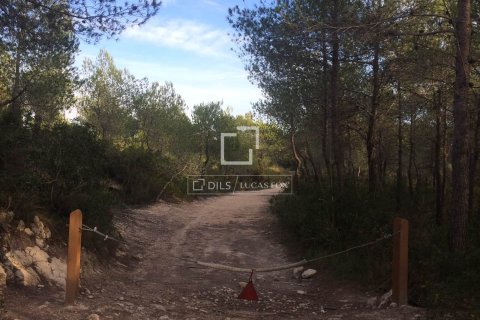 Finca zum Verkauf in Sitges, Barcelona, Spanien 590 m2 Nr. 192659 - Foto 17