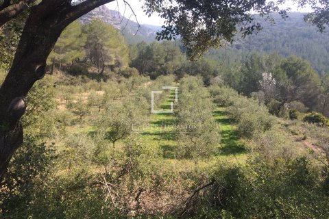 Finca zum Verkauf in Sitges, Barcelona, Spanien 590 m2 Nr. 192659 - Foto 7