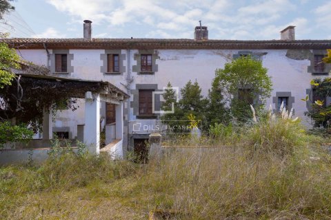 Gewerbeimmobilien zum Verkauf in Sant Andreu de Llavaneres, Barcelona, Spanien 1847 m2 Nr. 192656 - Foto 22