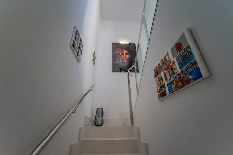 Продажа таухауса в Бенихофар, Аликанте, Испания 3 спальни, 162м2 №143797 - фото 20