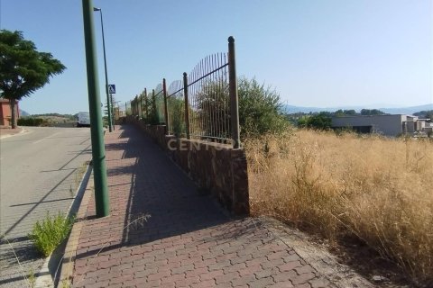 Tontti myytävänä Sant Esteve Sesrovires, Barcelona, Espanja , No. 186477 - kuva 4