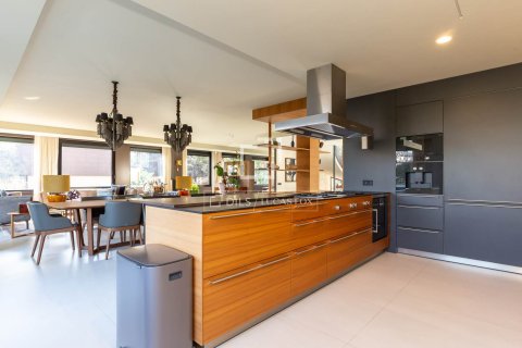 Villa à vendre à Esplugues de Llobregat, Barcelona, Espagne, 4 chambres, 665 m2 No. 164341 - photo 22