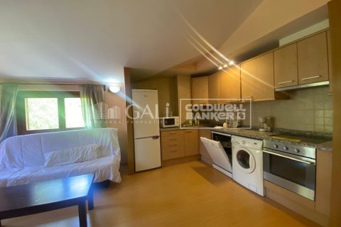 Lägenhet i Principado De Andorra (Ninguna Poblacion Tiene C.P.), Lleida, Spanien 1 sovrum, 69 kvm. Nr. 156974
