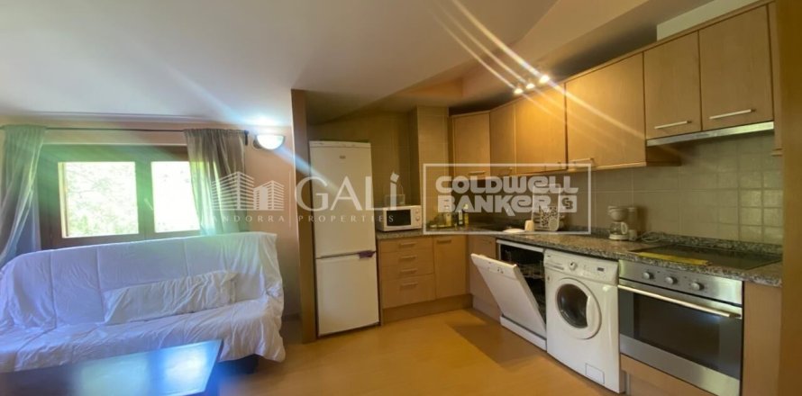Dzīvoklis Principado De Andorra (Ninguna Poblacion Tiene C.P.), Lleida, Spānijā 1 istaba, 69 m2 Nr. 156974