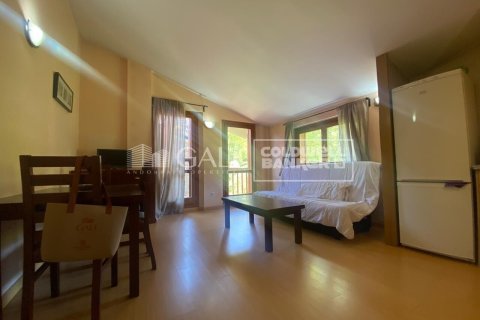 Dzīvoklis pārdošanā Principado De Andorra (Ninguna Poblacion Tiene C.P.), Lleida, Spānijā 1 istaba, 69 m2 Nr. 156974 - attēls 2