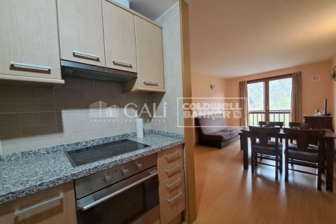 Huoneisto myytävänä Principado De Andorra (Ninguna Poblacion Tiene C.P.), Lleida, Espanja, 1 makuuhuone, 69 m2 No. 156973 - kuva 9
