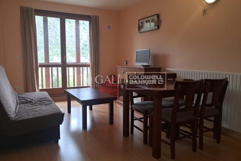 Huoneisto myytävänä Principado De Andorra (Ninguna Poblacion Tiene C.P.), Lleida, Espanja, 1 makuuhuone, 69 m2 No. 156973 - kuva 4
