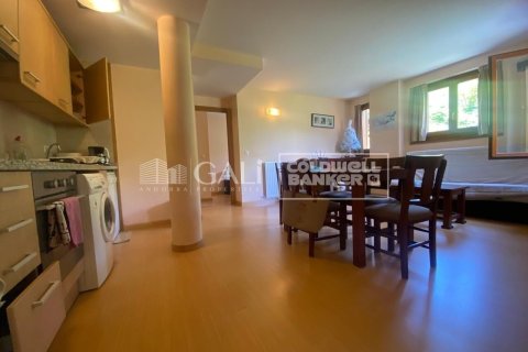 Apartment à Principado De Andorra (Ninguna Poblacion Tiene C.P.), Lleida, Espagne 2 chambres, 77 m2 No. 156975