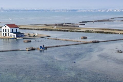 Villa zum Verkauf in San Pedro del Pinatar, Murcia, Spanien 3 Schlafzimmer, 143 m2 Nr. 142380 - Foto 28