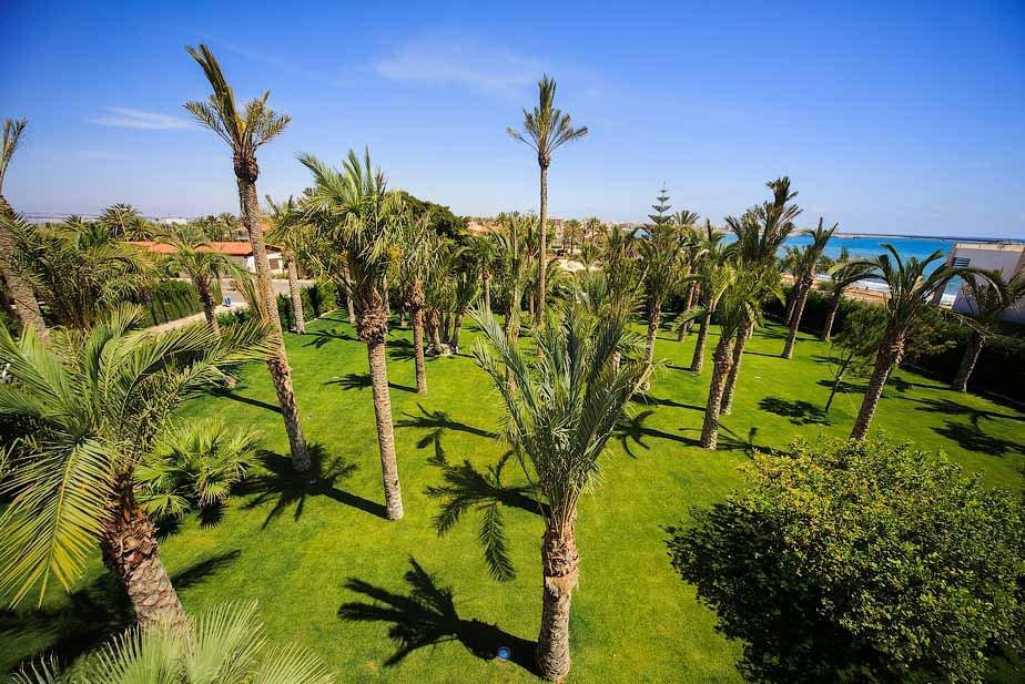 Willa w Torrevieja, Alicante, Hiszpania 7 sypialni,  nr 81062