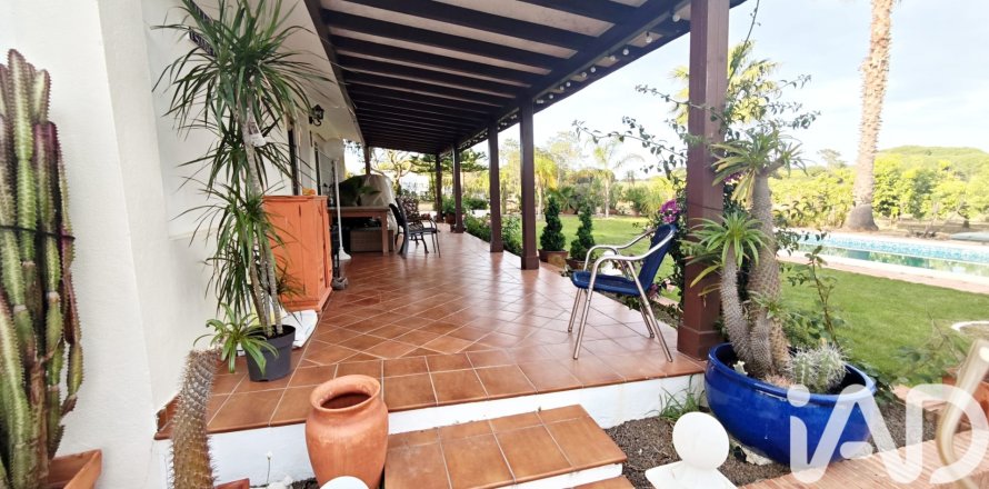 Land plot in Villablanca, Huelva, Spain 17462 sq.m. No. 172674