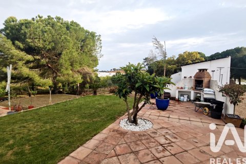 Land plot for sale in Villablanca, Huelva, Spain 17462 sq.m. No. 172674 - photo 30