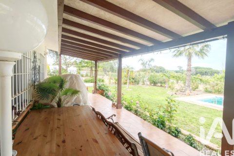 Land plot for sale in Villablanca, Huelva, Spain 17462 sq.m. No. 172674 - photo 28