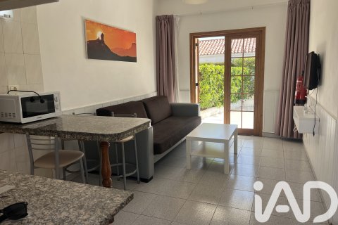 House for sale in San Bartolome De Tirajana, Gran Canaria, Spain 1 bedroom, 117 sq.m. No. 172676 - photo 4