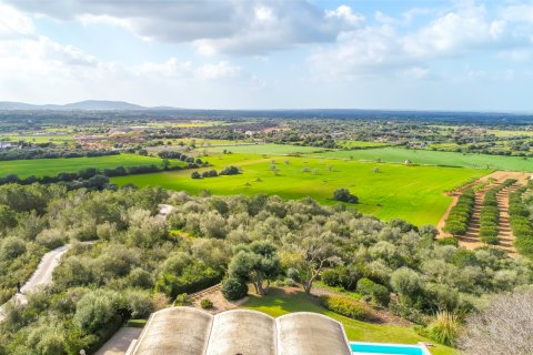 Finka w Felanitx, Mallorca, Hiszpania 4 sypialnie, 553 mkw. nr 192409 – zdjęcie 6