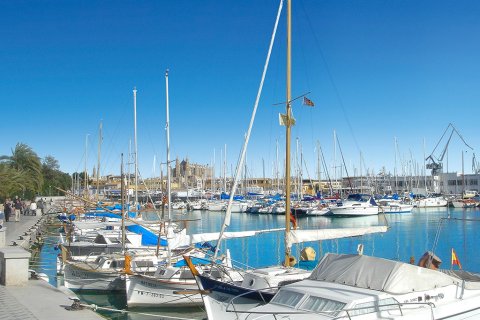 Apartamento en venta en Palma de Mallorca, Mallorca, España 2 dormitorios, 107 m2 No. 192407 - foto 18