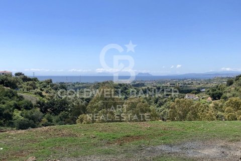 Terreno in vendita a Estepona, Malaga, Spagna 500 mq. N° 158998 - foto 5