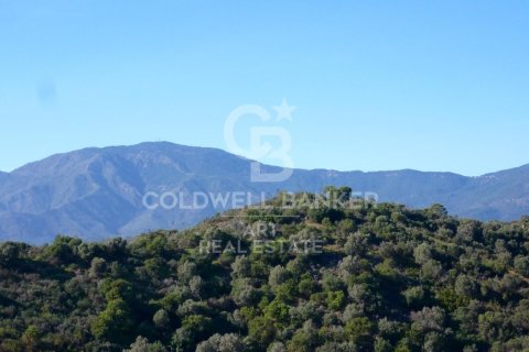 Tomt till salu i Estepona, Malaga, Spanien 500 kvm. Nr. 158997 - foto 8