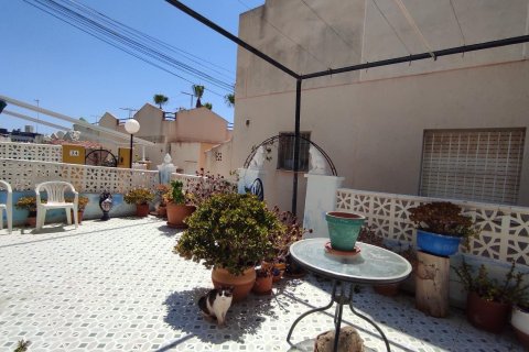Bungalow à vendre à Los Balcones, Alicante, Espagne, 2 chambres, 55 m2 No. 195417 - photo 14