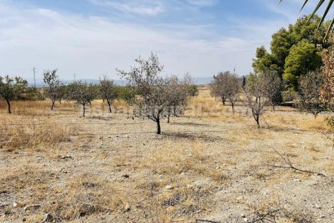 Talo myytävänä Taberno, Almeria, Espanja, 4 makuuhuonetta, 437 m2 No. 195416 - kuva 30