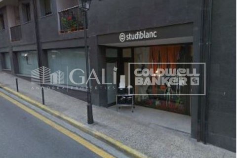 Lokal usługowy w Principado De Andorra (Ninguna Poblacion Tiene C.P.), Lleida, Hiszpania 133 mkw. nr 156805