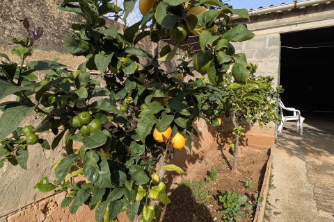 Villa pārdošanā Els Llombards, Mallorca, Spānijā 3 istabas, 129 m2 Nr. 144681 - attēls 6