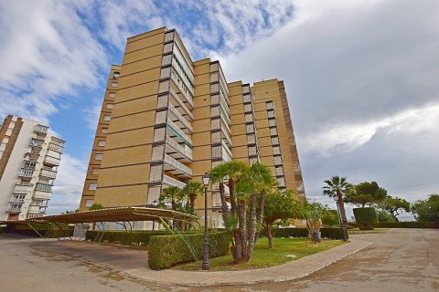 Wohnung zum Verkauf Dehesa De Campoamor, Alicante, Spanien 4 Schlafzimmer, 135 m2 Nr. 111183 - Foto 14