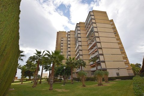 Wohnung zum Verkauf Dehesa De Campoamor, Alicante, Spanien 4 Schlafzimmer, 135 m2 Nr. 111183 - Foto 2