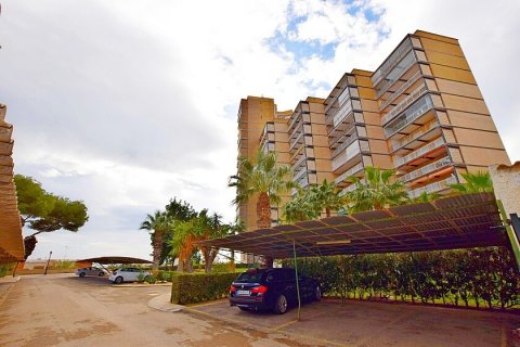 Wohnung zum Verkauf Dehesa De Campoamor, Alicante, Spanien 4 Schlafzimmer, 135 m2 Nr. 111183 - Foto 5
