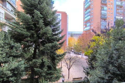 Apartment for rent Madrid, Spain 3 bedrooms, 250 sq.m. No. 107317 - photo 10