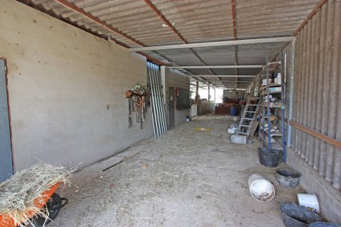 Finca till salu i Orba, Alicante, Spanien 1 sovrum, 43 kvm. Nr. 149187 - foto 8