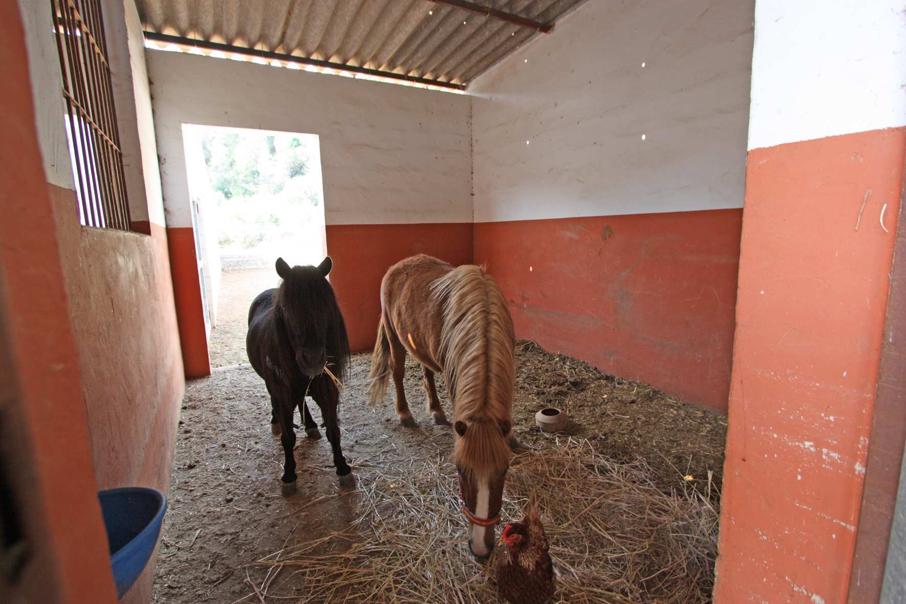 Finca Orba, Alicante, Espanja 1 makuuhuone, 43 m2 No. 149187