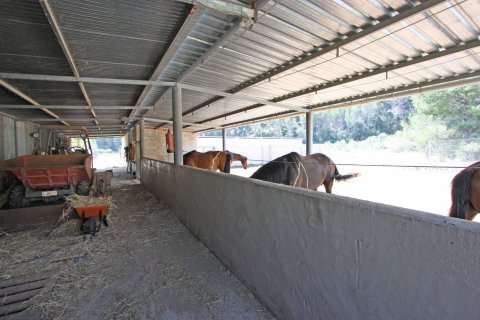 Finca till salu i Orba, Alicante, Spanien 1 sovrum, 43 kvm. Nr. 149187 - foto 9